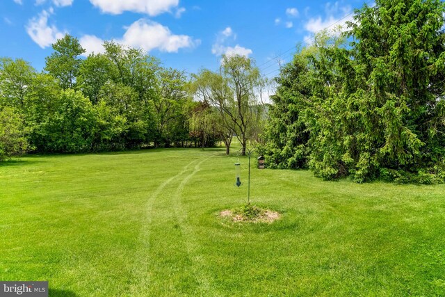 115 Emmitsburg Rd, Thurmont, MD 21788 - view of grassy yard