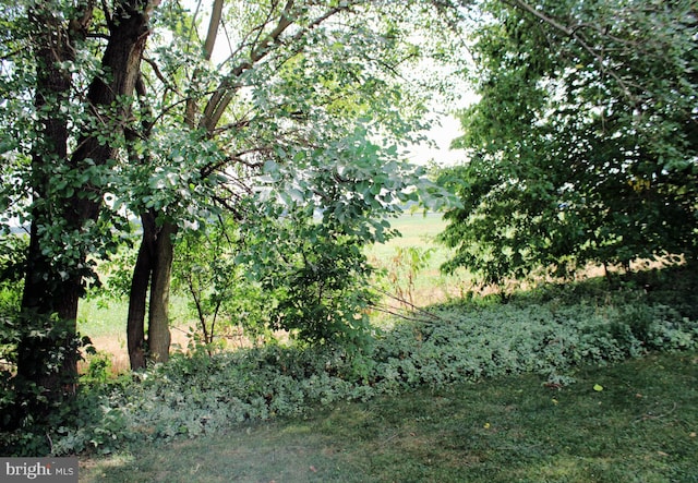 8323 Revelation Ave, Walkersville, MD 21793 - view of local wilderness