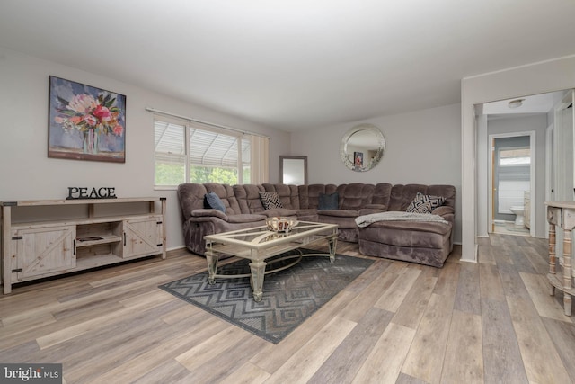 living room featuring wood finished floors