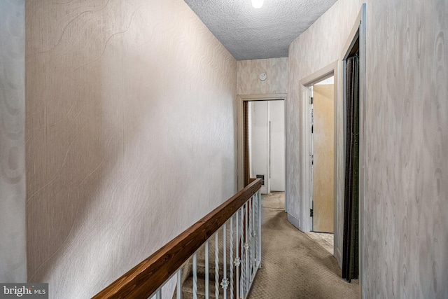 hallway with light carpet and a textured ceiling