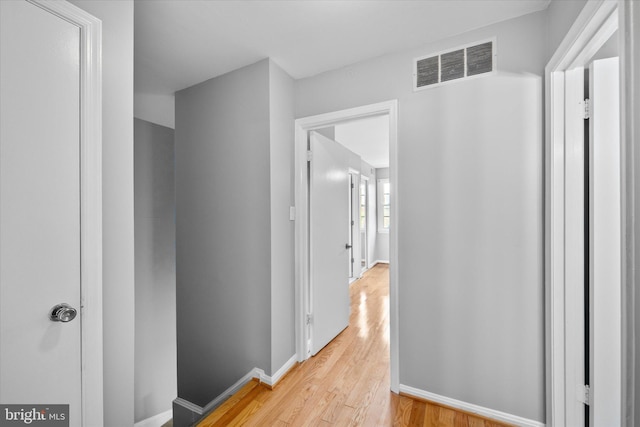 4559 Airlie Way, Annandale, VA 22003 - corridor with light wood finished floors and baseboards