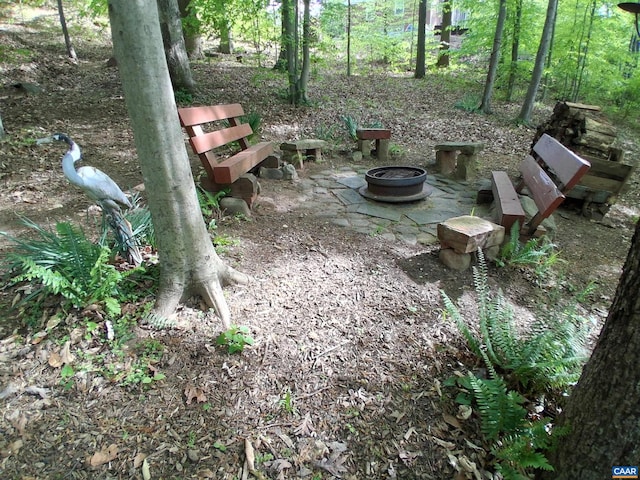 view of yard featuring a fire pit and a patio