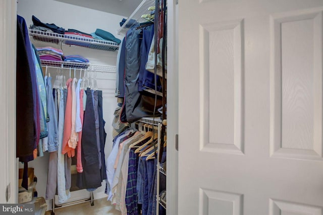 view of walk in closet