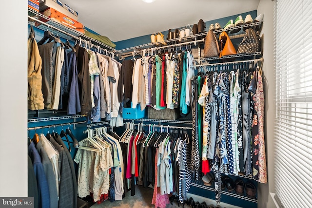 view of spacious closet
