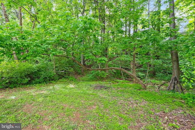 view of nature