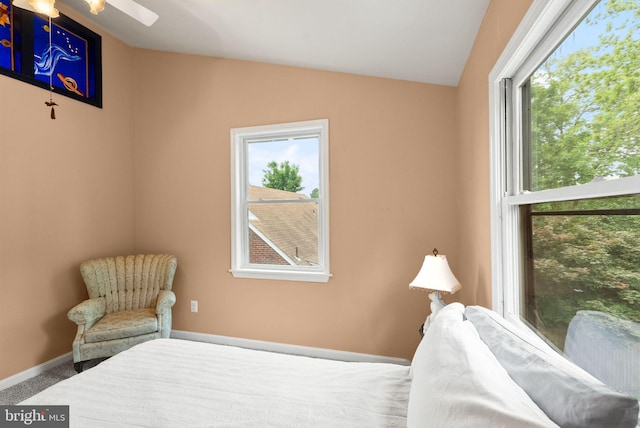 416 S Adams St, Arlington, VA 22204 - carpeted bedroom featuring lofted ceiling and baseboards