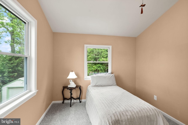 416 S Adams St, Arlington, VA 22204 - carpeted bedroom with multiple windows and baseboards