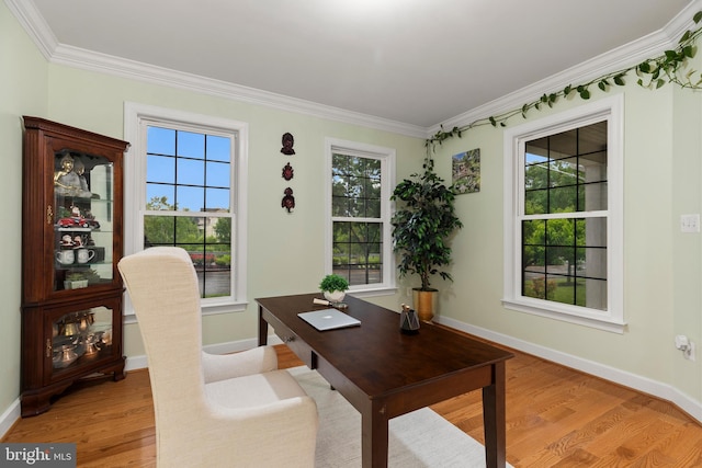 10701 Monocacy Way, Manassas, VA 20112 - office with crown molding, light wood-type flooring, healthy amount of natural light, and baseboards