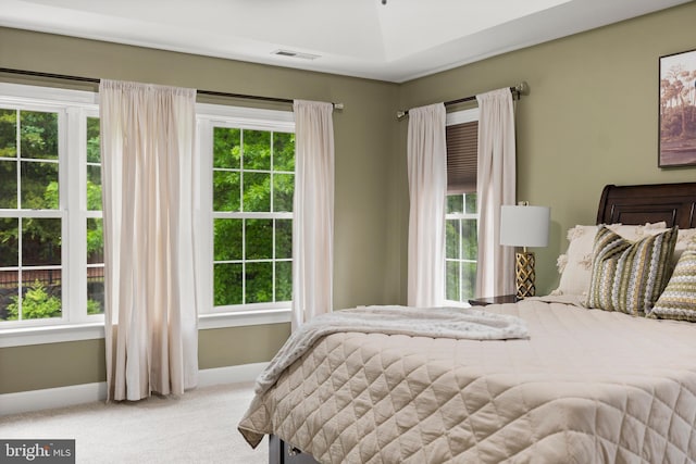 10701 Monocacy Way, Manassas, VA 20112 - bedroom with carpet floors and baseboards