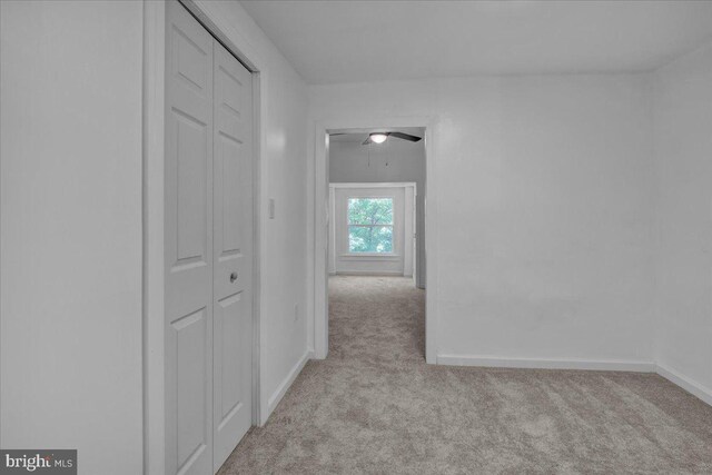 hall featuring carpet, baseboards, and attic access