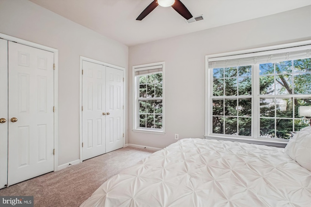 4160 Timber Log Way, Fairfax, VA 22030 - unfurnished bedroom featuring carpet, multiple windows, multiple closets, and baseboards