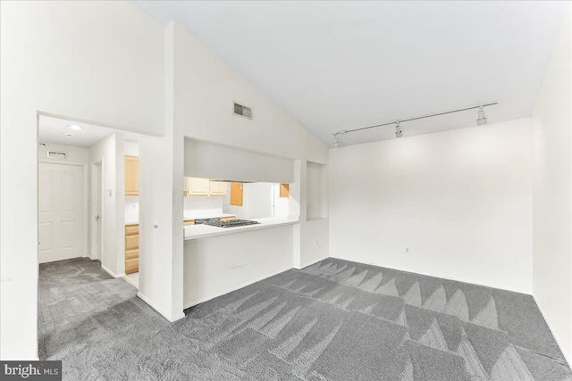 1707 Waters Edge Dr Unit 07, Newark, DE 19702 - unfurnished living room featuring carpet flooring, track lighting, high vaulted ceiling, and baseboards
