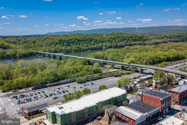 609 6th Ave, Brunswick, MD 21716 - bird's eye view of a notable bridge, a forest, and a nearby body of water