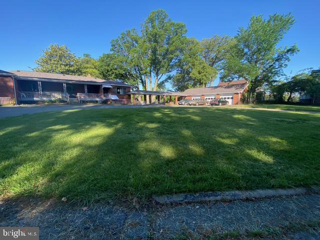 view of grassy yard