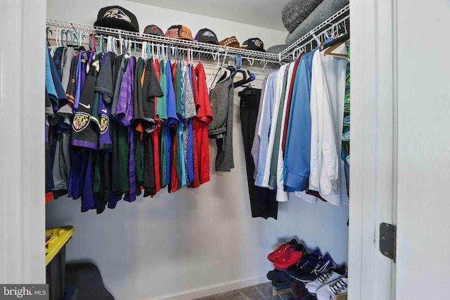 7571 Kindler Overlook Dr, Laurel, MD 20723 - spacious closet with carpet