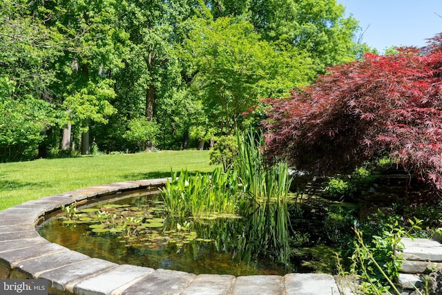 13928 Green Branch Dr, Phoenix, MD 21131 - view of community with a yard