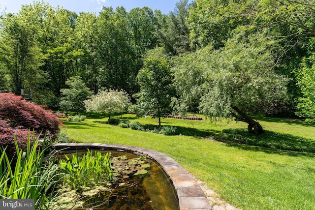 13928 Green Branch Dr, Phoenix, MD 21131 - view of community with a yard