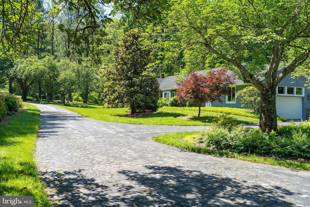 13928 Green Branch Dr, Phoenix, MD 21131 - view of asphalt road
