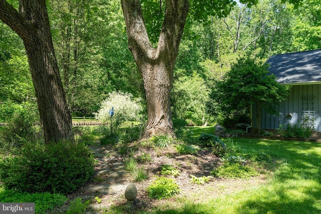 13928 Green Branch Dr, Phoenix, MD 21131 - view of green lawn featuring a view of trees