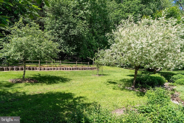 13928 Green Branch Dr, Phoenix, MD 21131 - view of grassy yard