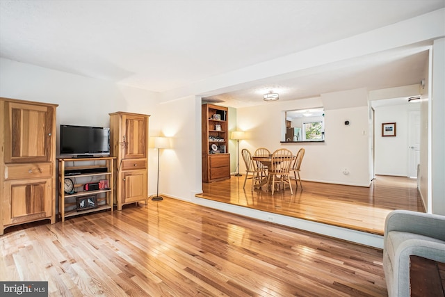 1559 Autumn Ridge Cir, Reston, VA 20194 - living area with light wood finished floors
