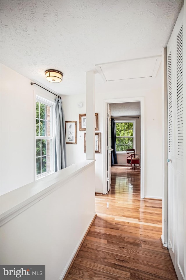 1559 Autumn Ridge Cir, Reston, VA 20194 - hall with wood finished floors, plenty of natural light, attic access, a textured ceiling, and baseboards