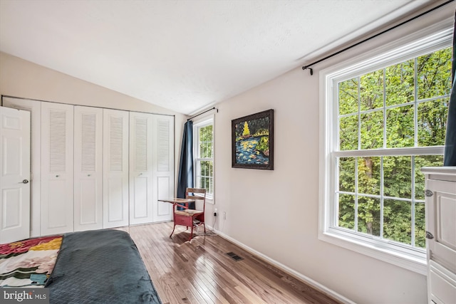 1559 Autumn Ridge Cir, Reston, VA 20194 - bedroom with vaulted ceiling, baseboards, light wood finished floors, and a closet