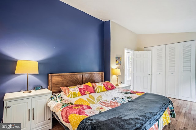 1559 Autumn Ridge Cir, Reston, VA 20194 - bedroom featuring vaulted ceiling, wood finished floors, and a closet