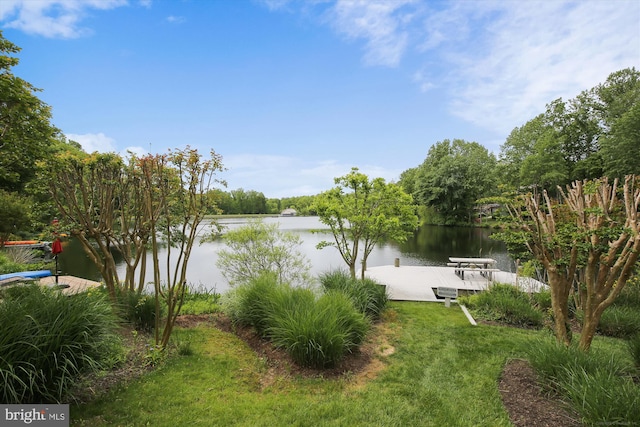 1559 Autumn Ridge Cir, Reston, VA 20194 - water view with a boat dock