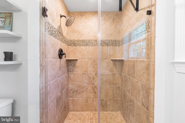106 Debaran Ln, Bryn Mawr, PA 19010 - bathroom with toilet and a shower stall