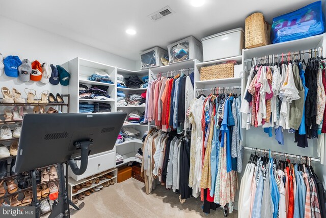 106 Debaran Ln, Bryn Mawr, PA 19010 - walk in closet with carpet