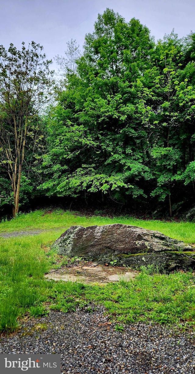view of undeveloped land