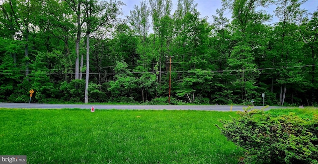 view of grassy yard