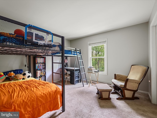 325 Chandler Dr, Shepherdstown, WV 25443 - carpeted bedroom featuring baseboards