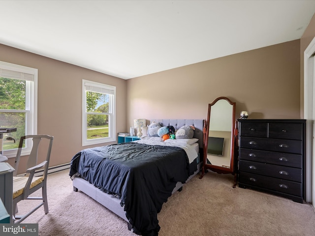 325 Chandler Dr, Shepherdstown, WV 25443 - bedroom with light colored carpet and multiple windows