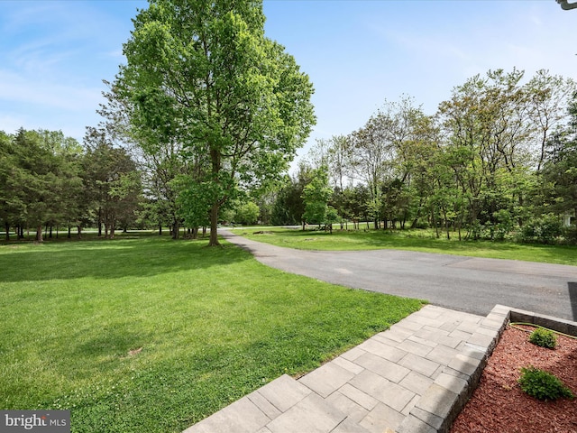 325 Chandler Dr, Shepherdstown, WV 25443 - view of road with view of scattered trees