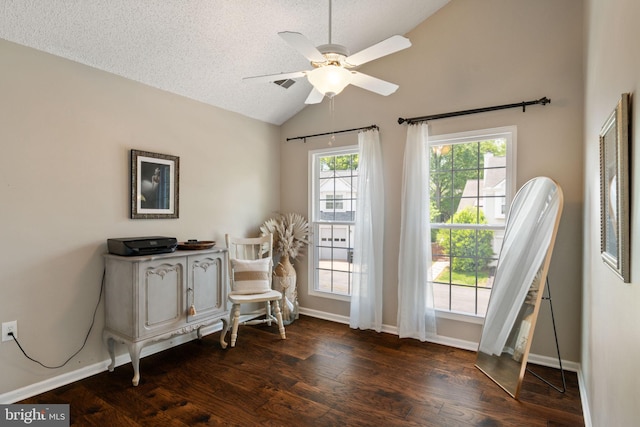 336 Deerpath Ave SW, Leesburg, VA 20175 - office featuring vaulted ceiling, dark wood-style floors, a ceiling fan, baseboards, and a textured ceiling