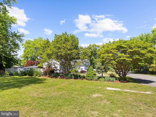 2039 Choptank Ave, Pasadena, MD 21122 - view of grassy yard