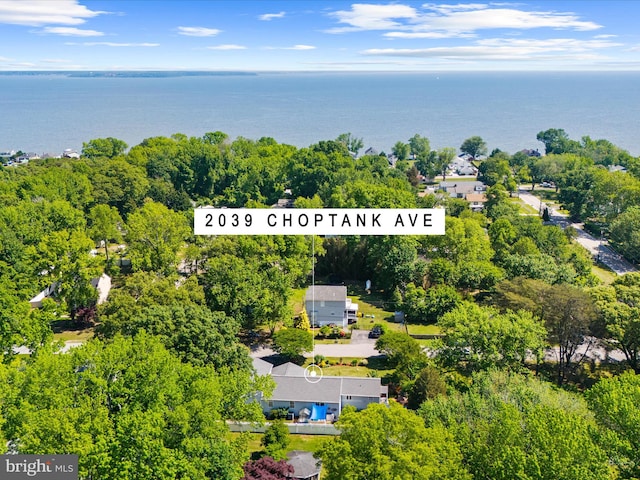 2039 Choptank Ave, Pasadena, MD 21122 - drone / aerial view of a nearby body of water