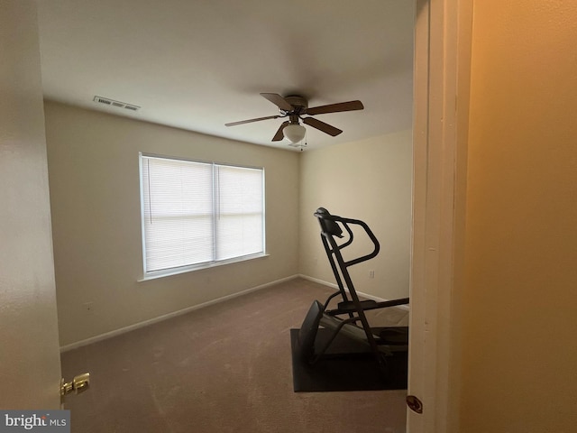 146 Diminish Dr, Newark, DE 19713 - exercise room with baseboards, a ceiling fan, and carpet