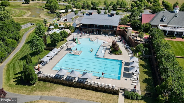 bird's eye view of a pool area