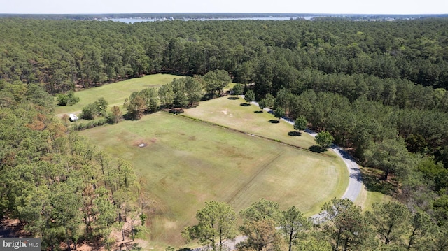 4906 Timbermarsh Ln, Woolford, MD 21677 - aerial overview of property's location with a forest