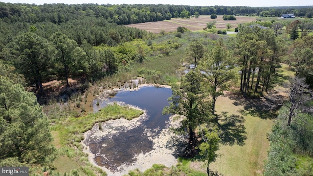 4906 Timbermarsh Ln, Woolford, MD 21677 - aerial view of property and surrounding area with a large body of water and a forest