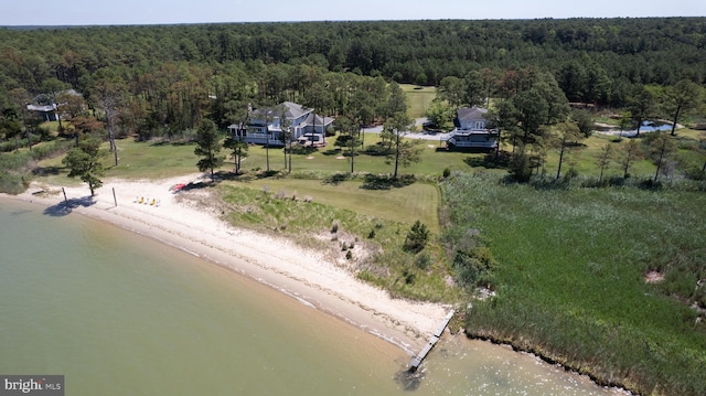 4906 Timbermarsh Ln, Woolford, MD 21677 - bird's eye view of a forest and a large body of water