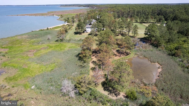 4906 Timbermarsh Ln, Woolford, MD 21677 - aerial overview of property's location with a large body of water and a heavily wooded area