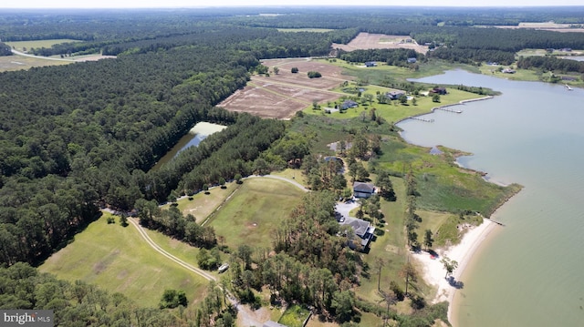 4906 Timbermarsh Ln, Woolford, MD 21677 - aerial view of property's location with a forest and a nearby body of water