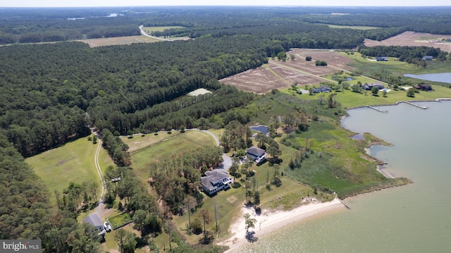 4906 Timbermarsh Ln, Woolford, MD 21677 - view of property location featuring a heavily wooded area and a large body of water
