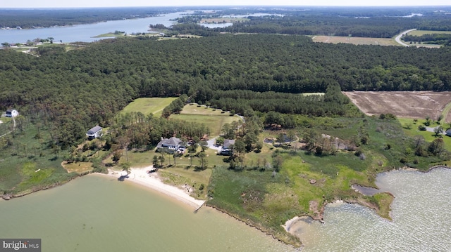 4906 Timbermarsh Ln, Woolford, MD 21677 - aerial overview of property's location with a heavily wooded area and a large body of water