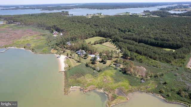4906 Timbermarsh Ln, Woolford, MD 21677 - aerial overview of property's location with a large body of water and a forest