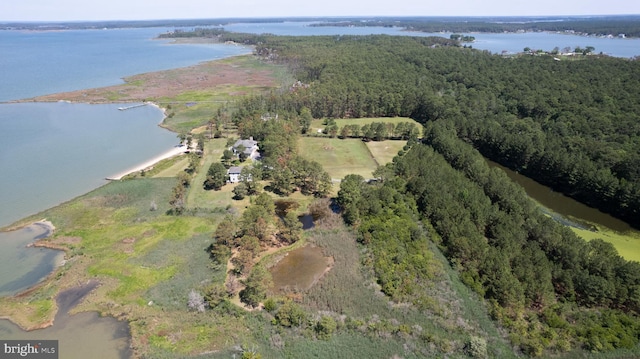 4906 Timbermarsh Ln, Woolford, MD 21677 - aerial overview of property's location with a nearby body of water and a heavily wooded area